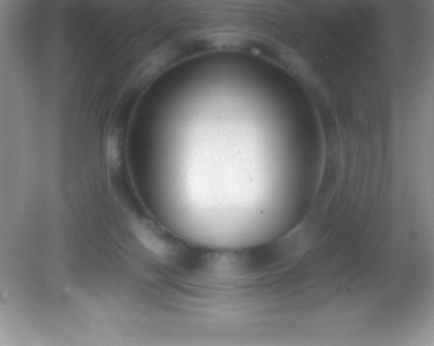 X0000082690074200702021338