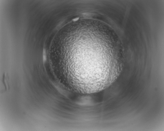 X0000082690075200702021338