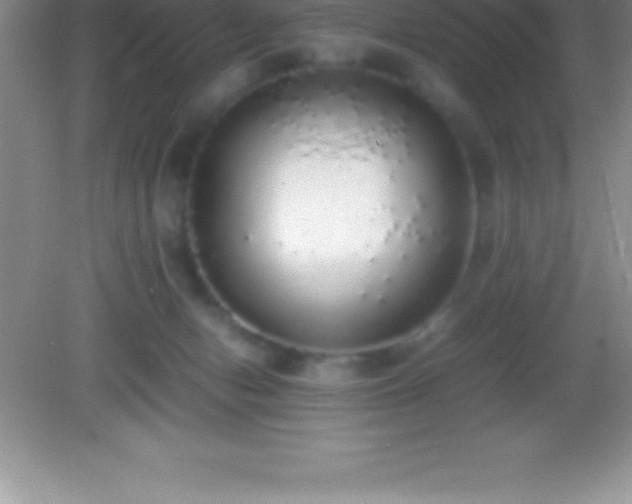 X0000082690078200702021338