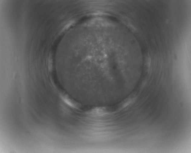 X0000082690080200702021338