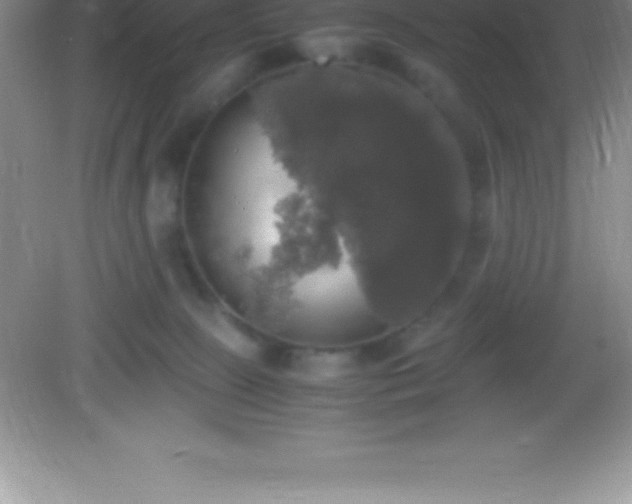 X0000082690081200702021338