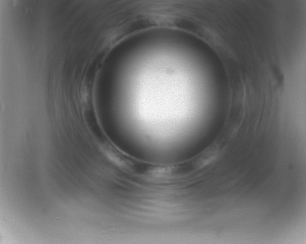 X0000082690084200702021338