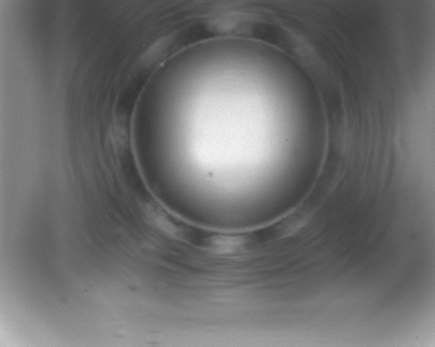 X0000082690085200702021338