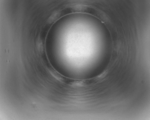 X0000082690086200702021338