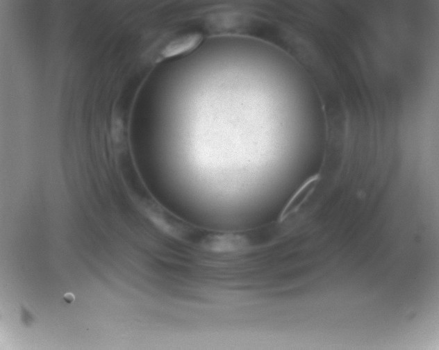 X0000082690087200702021338