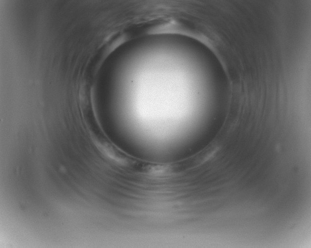 X0000082690088200702021338