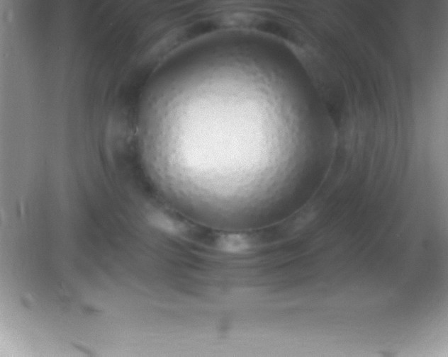 X0000082690091200702021338