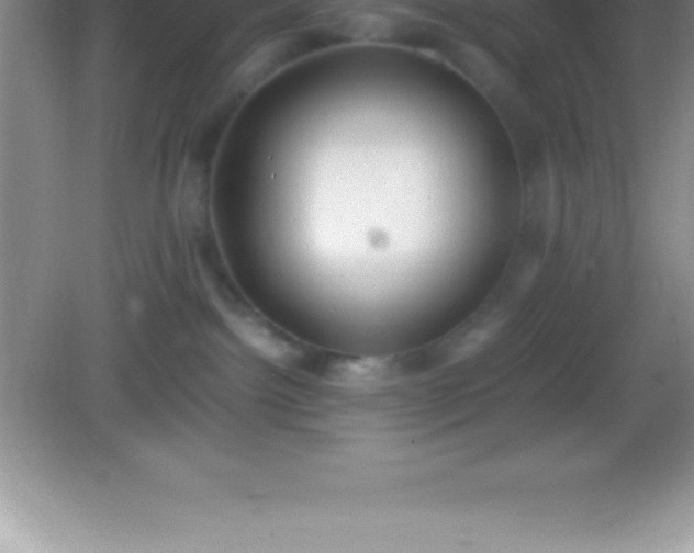 X0000082690092200702021338