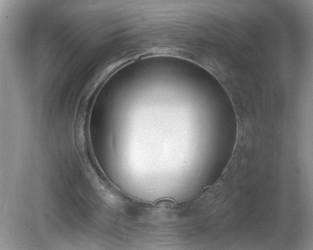 X0000082690098200702021338