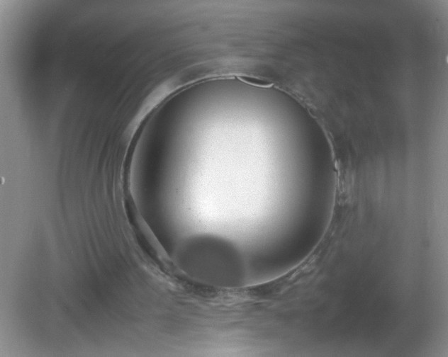 X0000082690099200702021338