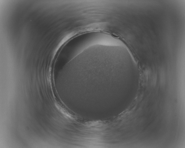 X0000082690100200702021338