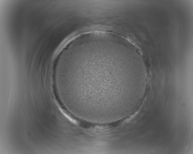 X0000082690101200702021338