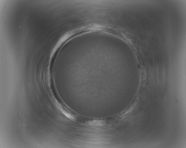 X0000082690102200702021338