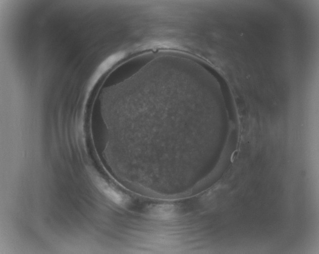 X0000082690104200702021338