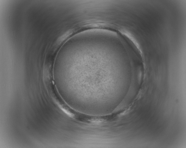 X0000082690105200702021338