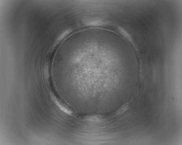 X0000082690106200702021337