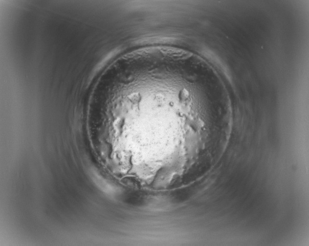 X0000082690107200702021337