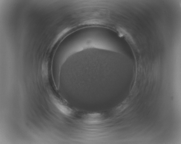 X0000082690108200702021337