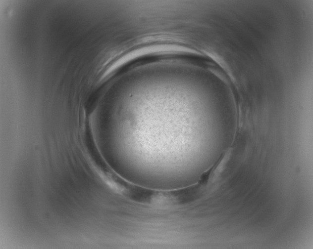 X0000082690109200702021337