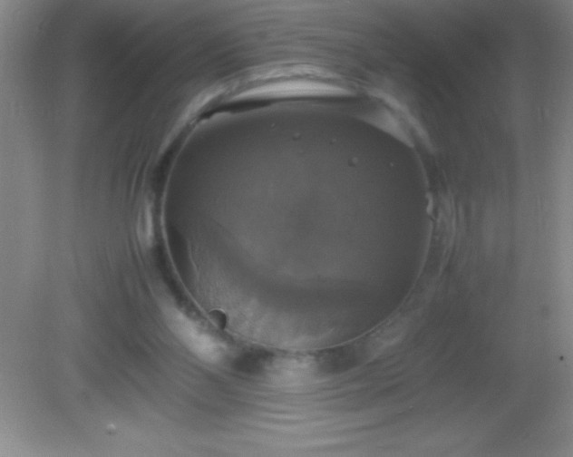 X0000082690110200702021337