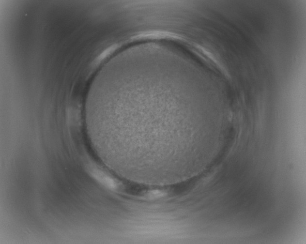 X0000082690111200702021337