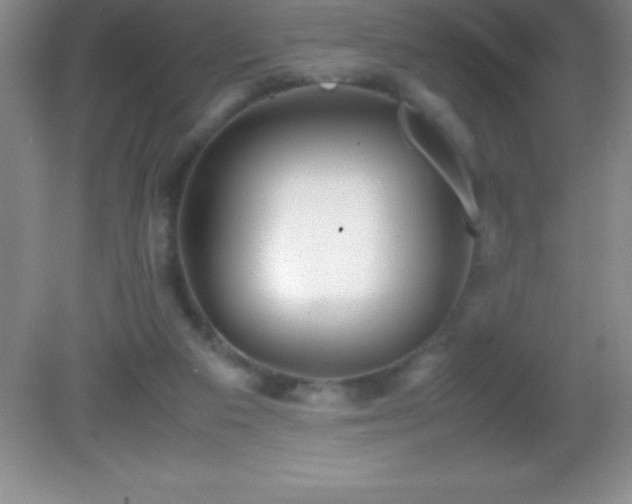 X0000082690113200702021337