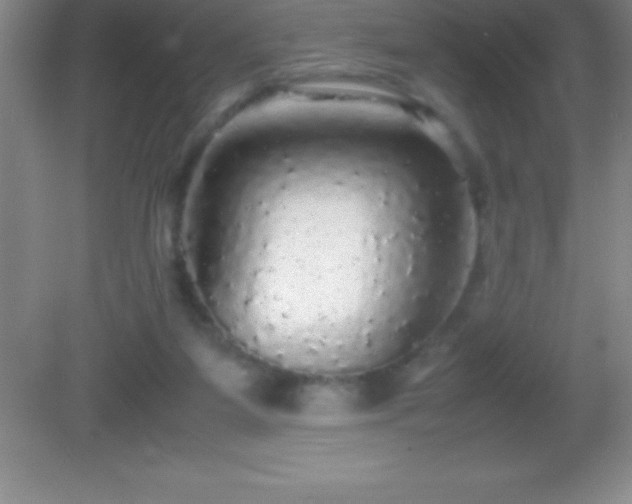 X0000082690115200702021337