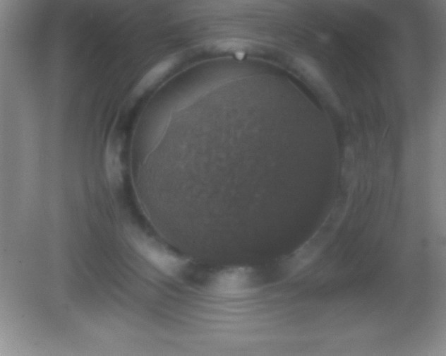 X0000082690116200702021337