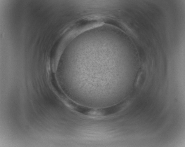 X0000082690117200702021337