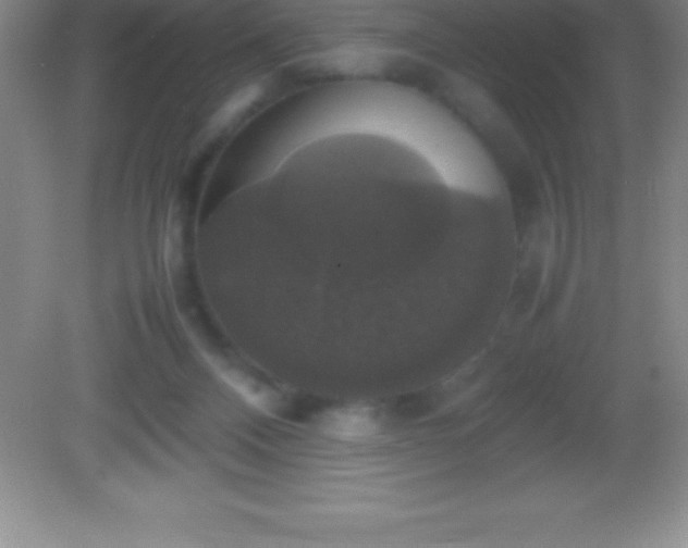 X0000082690120200702021337