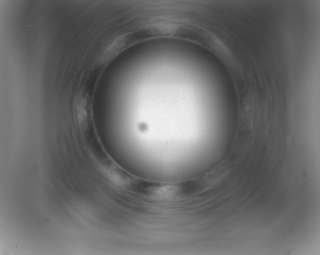 X0000082690122200702021337