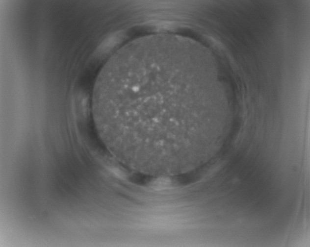 X0000082690123200702021337