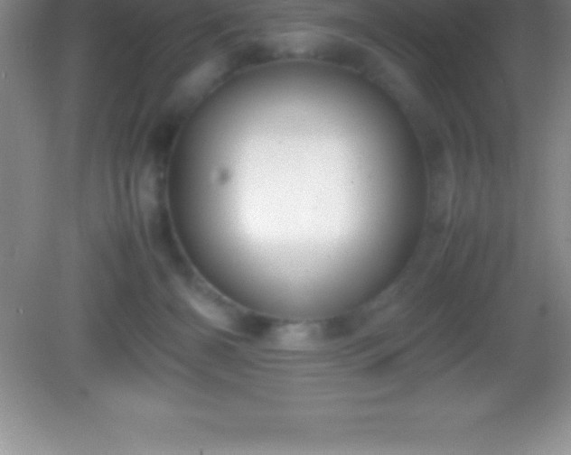 X0000082690126200702021337