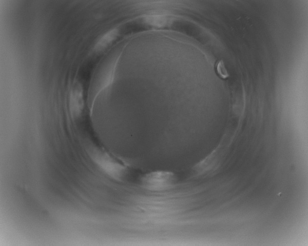 X0000082690128200702021337