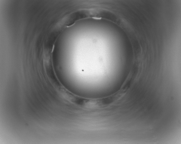 X0000082690129200702021337