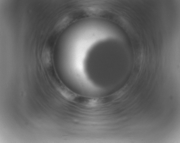 X0000082690130200702021337