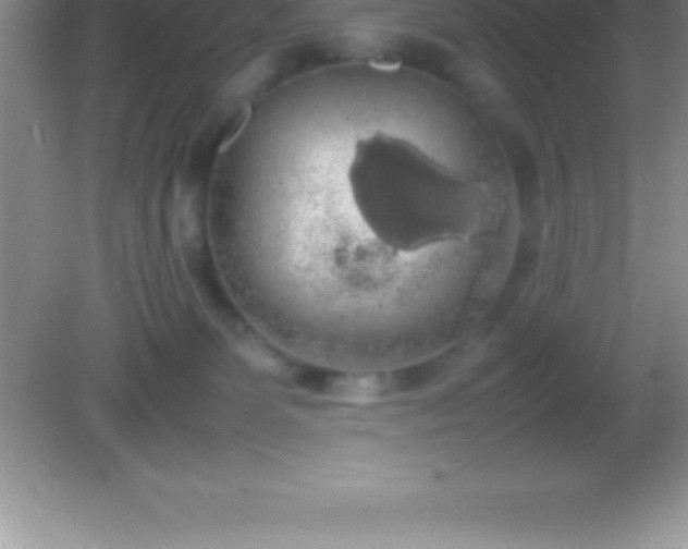 X0000082690131200702021337