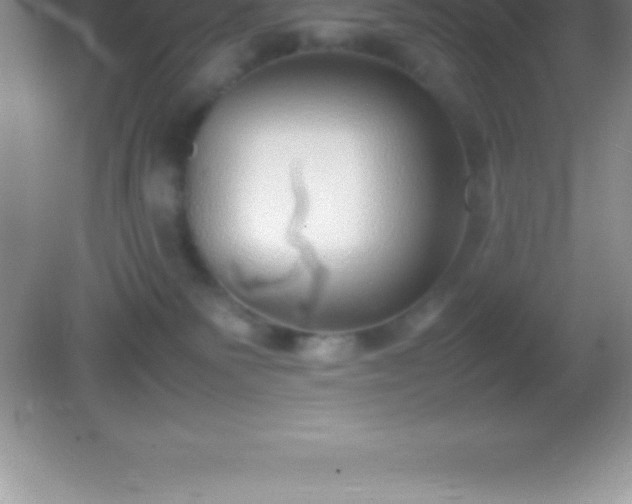 X0000082690135200702021337