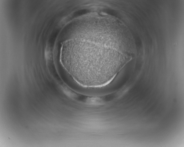 X0000082690137200702021337