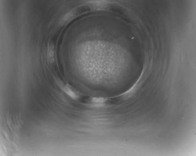 X0000082690144200702021337