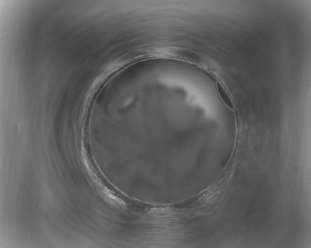 X0000082690145200702021336