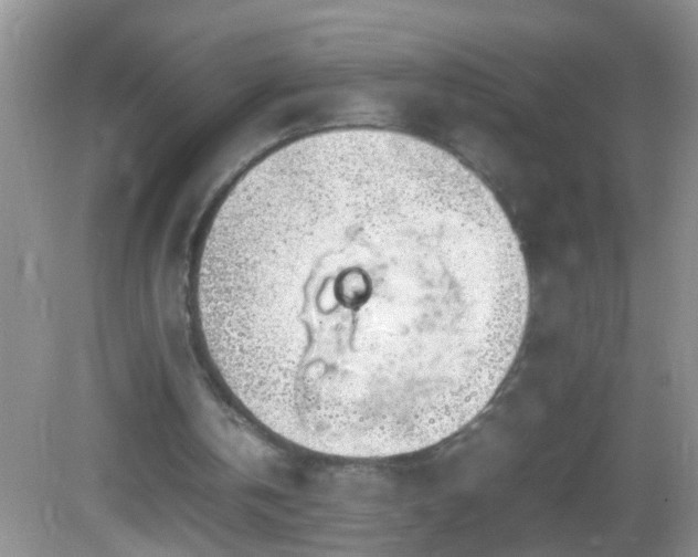 X0000082690146200702021336