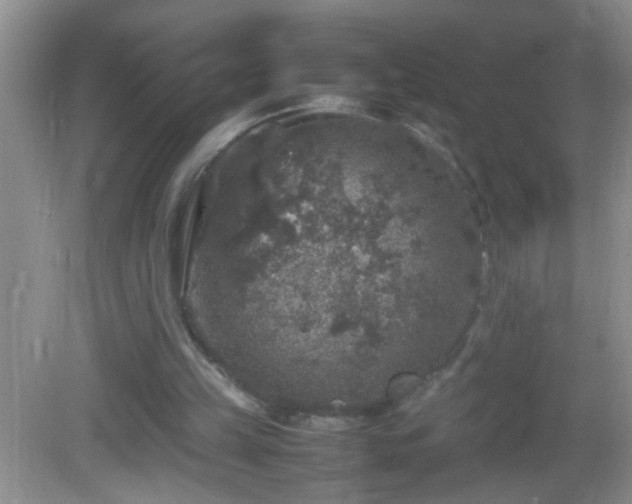 X0000082690149200702021336