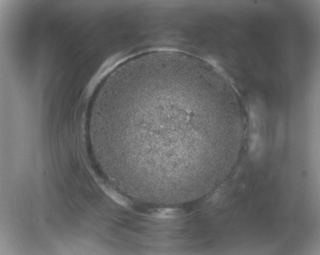 X0000082690151200702021336