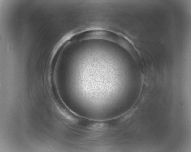 X0000082690152200702021336