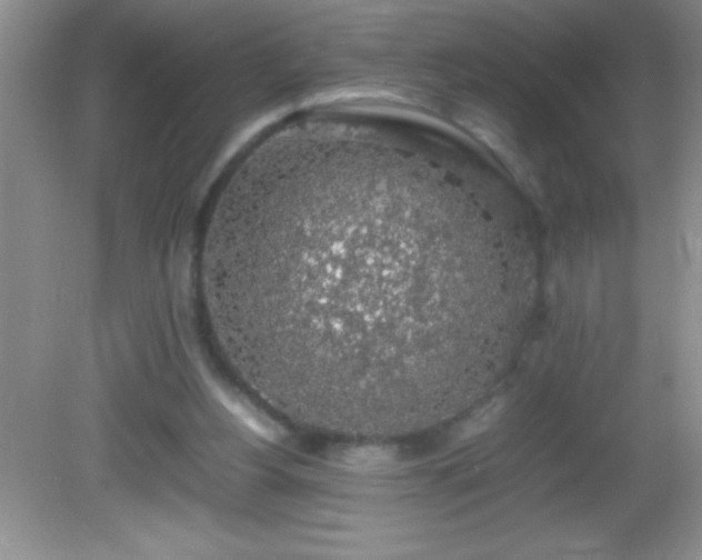 X0000082690156200702021336