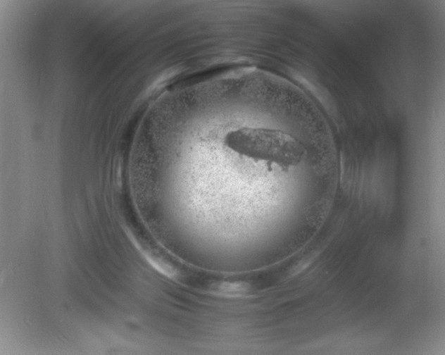 X0000082690157200702021336