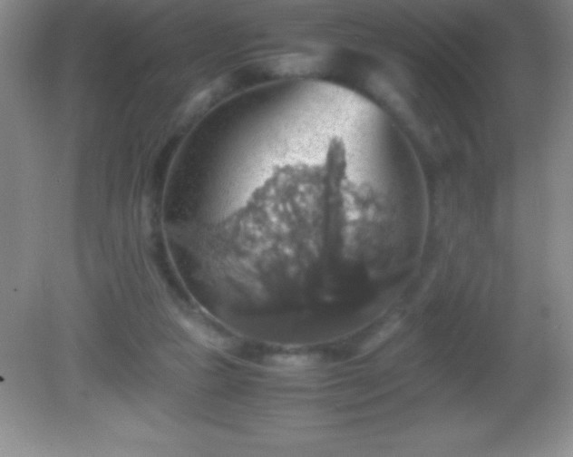 X0000082690161200702021336