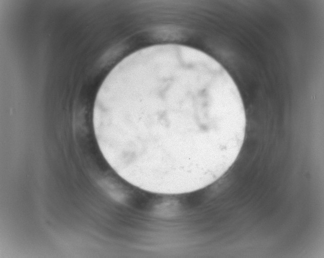 X0000082690162200702021336