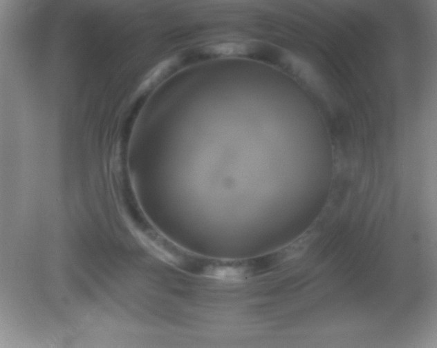 X0000082690163200702021336